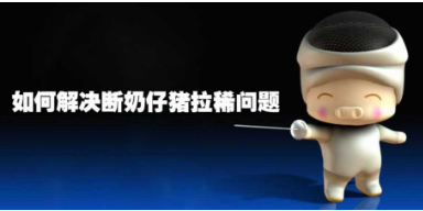 断奶仔猪营养性腹泻怎么办